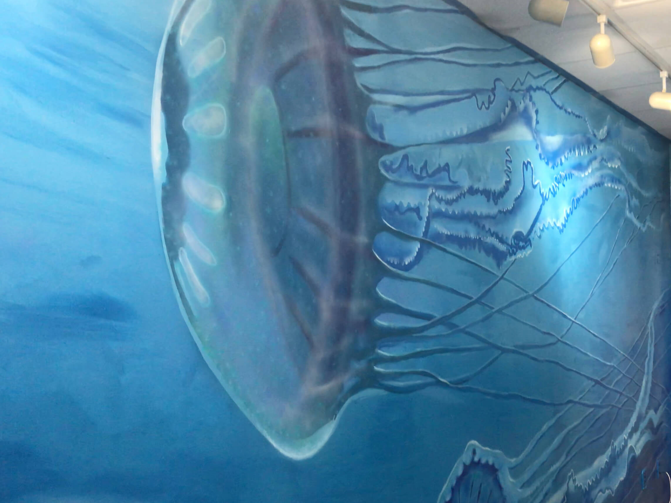 Drake Arnold Mural at Mote Marine Laboratory and aquarium